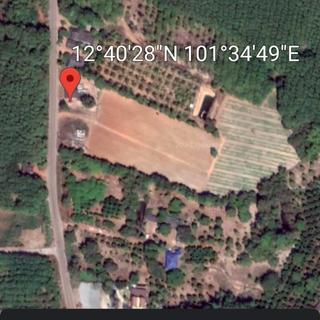 รูปโปรไฟล์ ของ นิศา โชติกวณิชย์