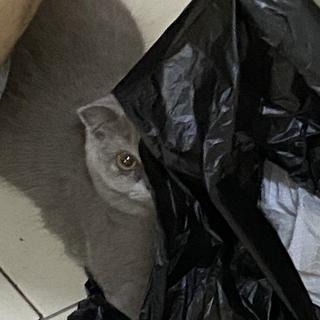 รูปโปรไฟล์ ของ Nat Chi