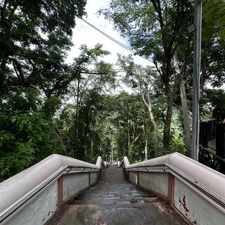 รูปโปรไฟล์ ของ Henry JeremyWalsh