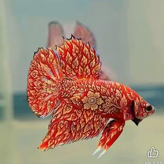 รูปโปรไฟล์ ของ วงศธร  นาคสุวรรณ์