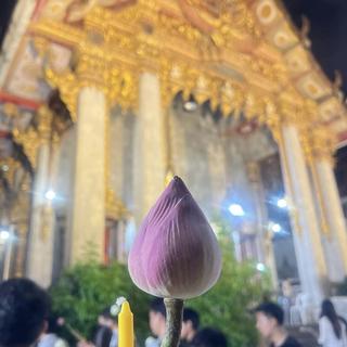 ร้าน แม่มด นางมารร้าย