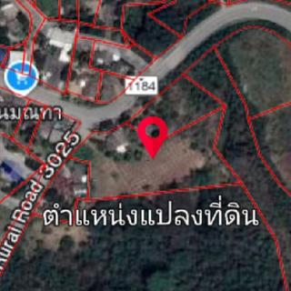 รูปโปรไฟล์ ของ พิทยา พันธุ์รอด