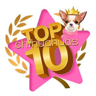 รูปโปรไฟล์ ของ Top10chihuahuas