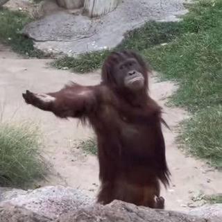 Profile picture of รภา นภา