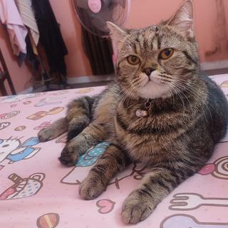 รูปโปรไฟล์ ของ บุษราภรณ์ อ้างอิง