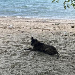 Profile picture of นายศุภโชค แดงมงคล