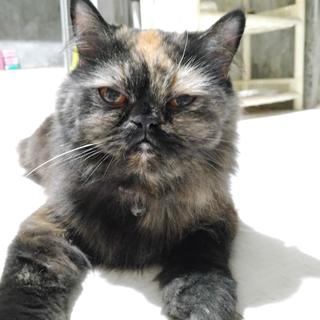 รูปโปรไฟล์ ของ ปวีณา พ.