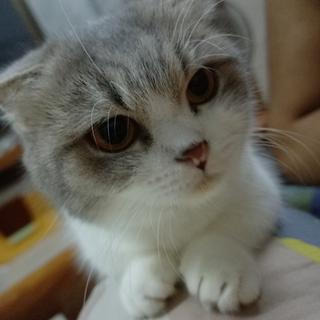 รูปโปรไฟล์ ของ ธนเสฏฐ์ สว่างกมลพันธ์