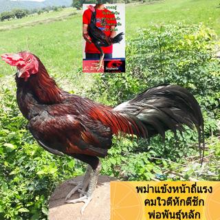 รูปโปรไฟล์ ของ เล็ก สมคิด