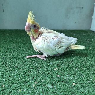 รูปโปรไฟล์ ของ เมธ์วดี ดีน้ำจืด