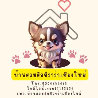 ร้าน บ้านฮอมฮักชิวาว่าเชียงใหม่