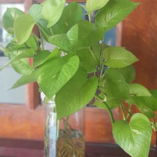 รูปโปรไฟล์ ของ Hey Market