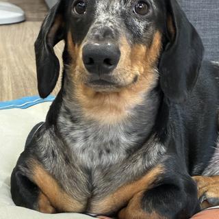 รูปโปรไฟล์ ของ Benji Ratanakul