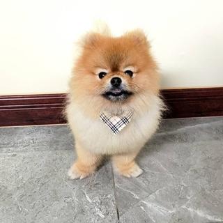 รูปโปรไฟล์ ของ Nakin Boonma