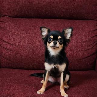 รูปโปรไฟล์ ของ Kaewni New