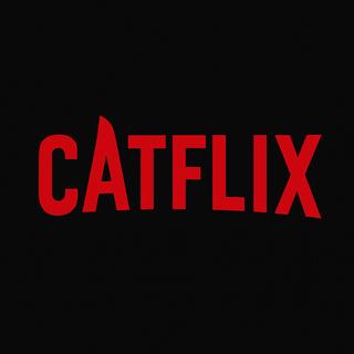 ร้าน CATFLIX
