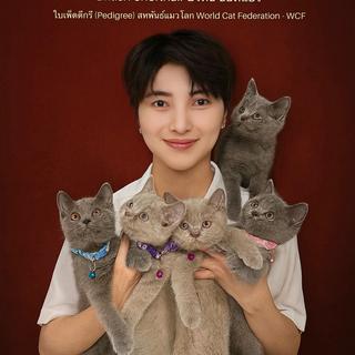 Profile picture of Baan Khonfu Cattery