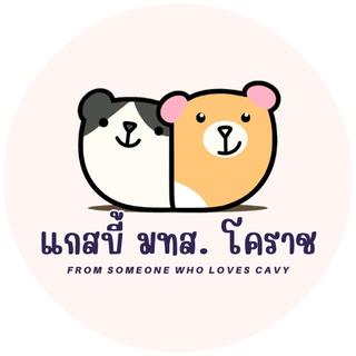 รูปโปรไฟล์ ของ แกสบี้ มทส. โคราช