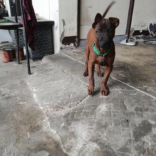 รูปโปรไฟล์ ของ สุภกิตต์ สว่างโคกกรวด