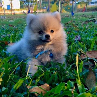 รูปโปรไฟล์ ของ Lucky Home หาดใหญ่