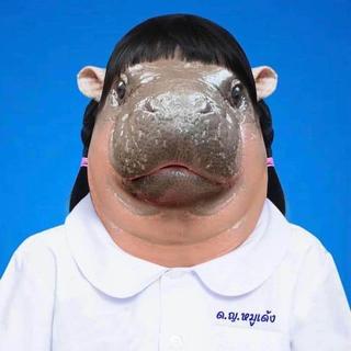 รูปโปรไฟล์ ของ ปองคุณ ไพเราะ