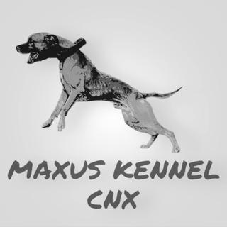 รูปโปรไฟล์ ของ MAXUS cnx 