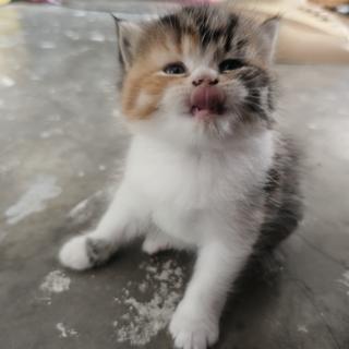 รูปโปรไฟล์ ของ user 184704