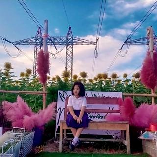 รูปโปรไฟล์ ของ ชิลล์สินค้าแม่และเด็ก
