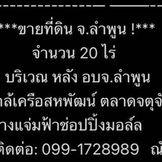 รูปโปรไฟล์ ของ ขายที่ดิน ลำพูน