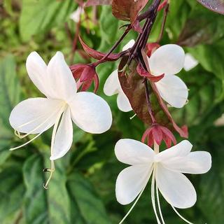 รูปโปรไฟล์ ของ MeStyle by Preeya