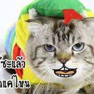 รูปโปรไฟล์ ของ ธนา อุดมทรัพย์