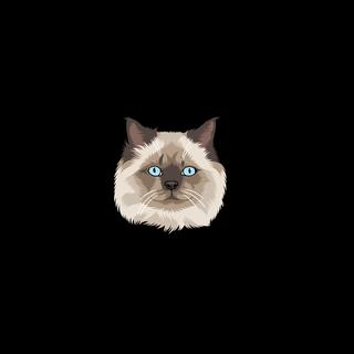 รูปโปรไฟล์ ของ Himalayan.moggy