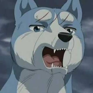 รูปโปรไฟล์ ของ ของเก่า มาเล่าใหม่