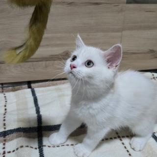 Profile picture of เสาวรัตน์ นาคอ้น