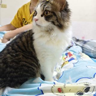 Profile picture of Guss_Jung 1986