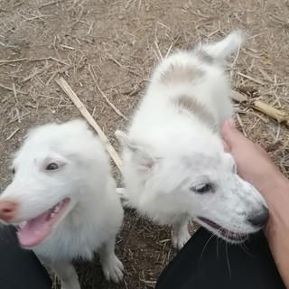 รูปโปรไฟล์ ของ พิทักษ์ ฤทธิ์ชัยภูมิ