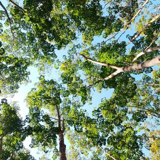 รูปโปรไฟล์ ของ Naphatchara Kasabai