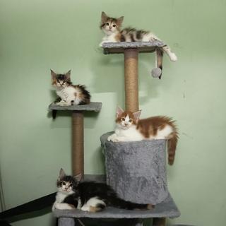 รูปโปรไฟล์ ของ ธิดารัตน์ อินทร์ขาว