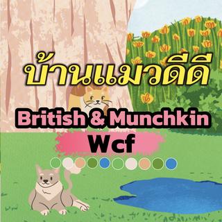 รูปโปรไฟล์ ของ บ้านแมวดีดี